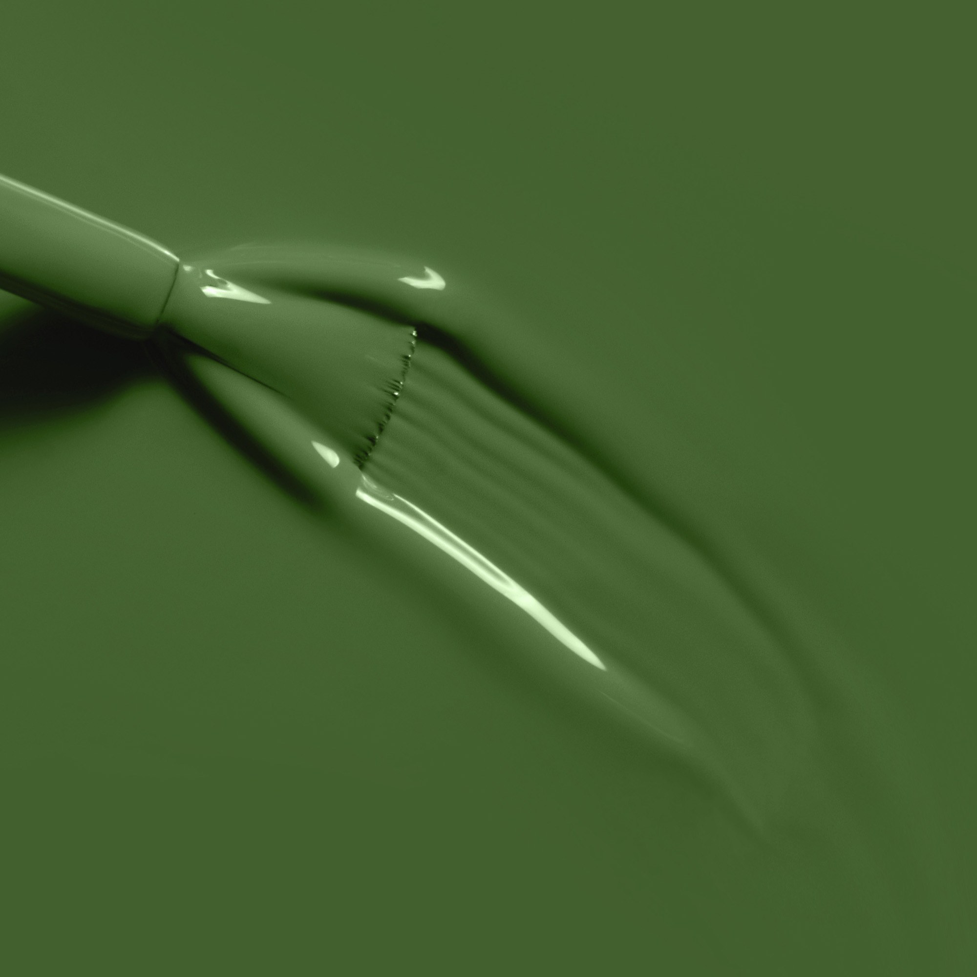 no536-evergreen-15ml-3